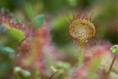 /album/galerie1/t-img-5190-jpg/